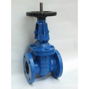 Cast Iron Rising Stem Gate Valve